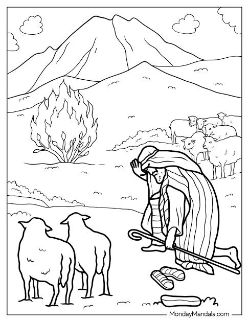 Morning Worship for Sunday 30th August 2026, 14th Sunday after Pentecost & What’s on